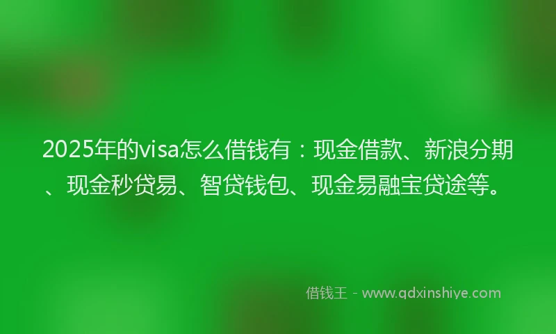 2025年的visa怎么借钱有：现金借款、新浪分期、现金秒贷易、智贷钱包、现金易融宝贷途等。