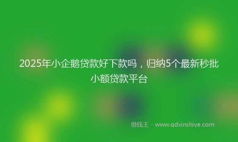 2025年小企鹅贷款好下款吗，归纳5个最新秒批小额贷款平台