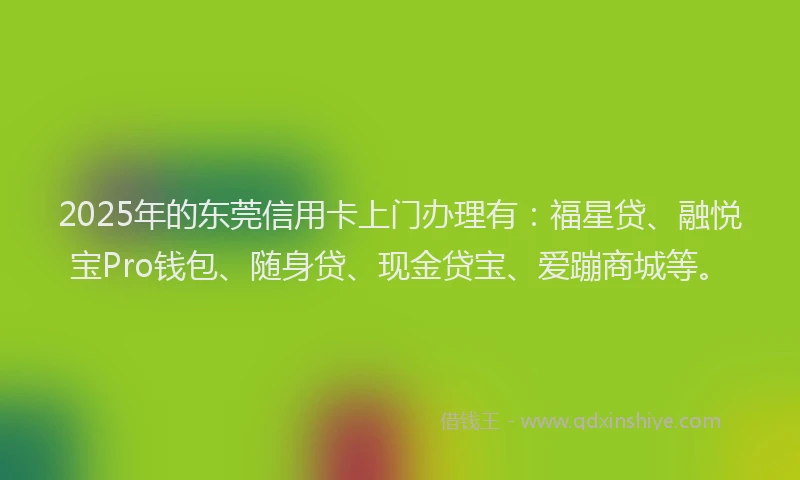 2025年的东莞信用卡上门办理有:福星贷、融悦宝Pro钱包、随身贷、现金贷宝、爱蹦商城等。