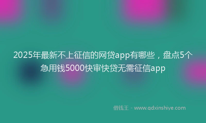 2025年最新不上征信的网贷app有哪些，盘点5个急用钱5000快审快贷无需征信app