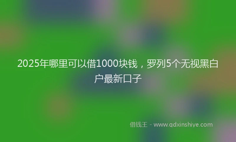 2025年哪里可以借1000块钱，罗列5个无视黑白户最新口子