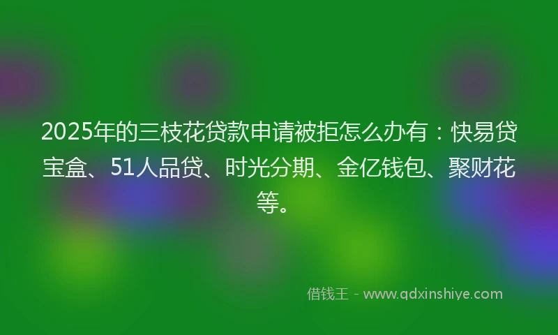2025年的三枝花贷款申请被拒怎么办有：快易贷宝盒、51人品贷、时光分期、金亿钱包、聚财花等。