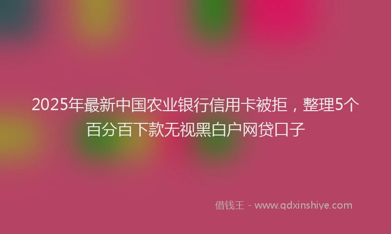 2025年最新中国农业银行信用卡被拒，整理5个百分百下款无视黑白户网贷口子