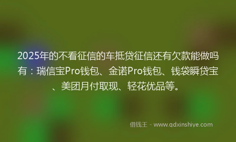 2025年的不看征信的车抵贷征信还有欠款能做吗有：瑞信宝Pro钱包、金诺Pro钱包、钱袋瞬贷宝、美团月付取现、轻花优品等。