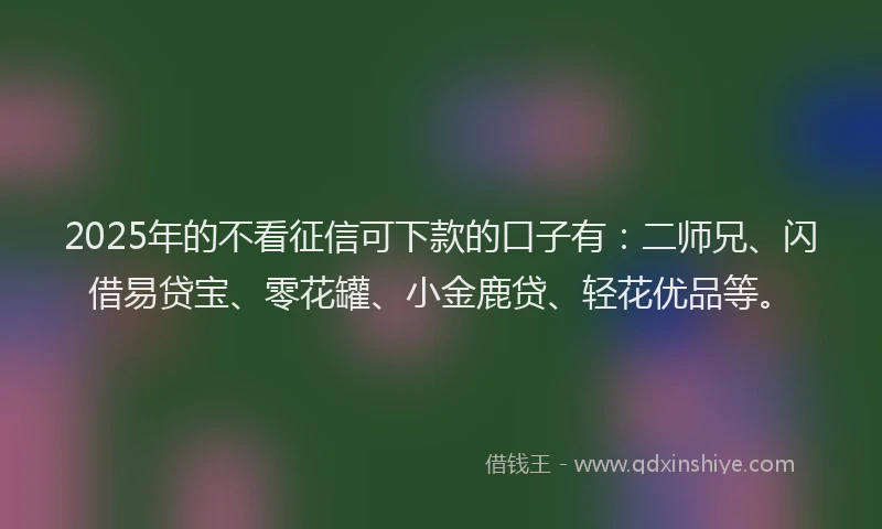 2025年的不看征信可下款的口子有：二师兄、闪借易贷宝、零花罐、小金鹿贷、轻花优品等。