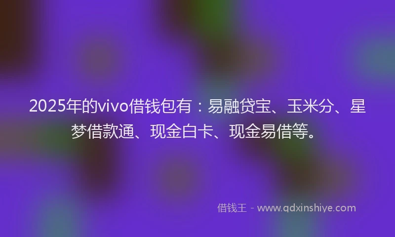 2025年的vivo借钱包有：易融贷宝、玉米分、星梦借款通、现金白卡、现金易借等。