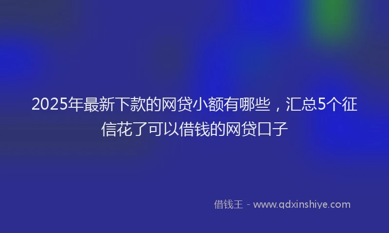 2025年最新下款的网贷小额有哪些，汇总5个征信花了可以借钱的网贷口子