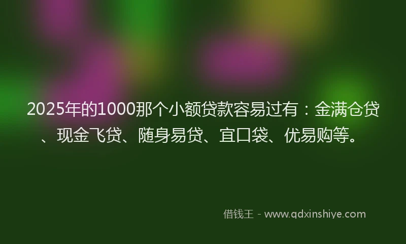 2025年的1000那个小额贷款容易过有：金满仓贷、现金飞贷、随身易贷、宜口袋、优易购等。