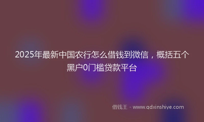 2025年最新中国农行怎么借钱到微信，概括五个黑户0门槛贷款平台