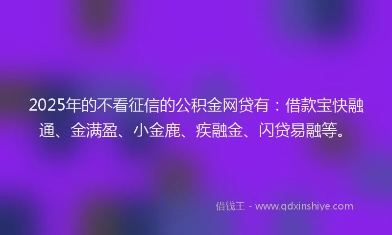 2025年的不看征信的公积金网贷有：借款宝快融通、金满盈、小金鹿、疾融金、闪贷易融等。