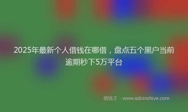 2025年最新个人借钱在哪借，盘点五个黑户当前逾期秒下5万平台