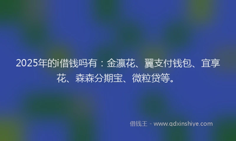 2025年的i借钱吗有：金瀛花、翼支付钱包、宜享花、森森分期宝、微粒贷等。