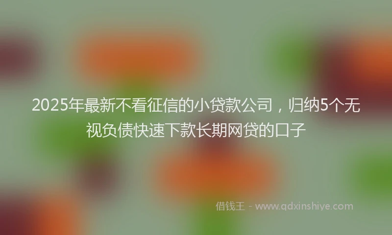 2025年最新不看征信的小贷款公司，归纳5个无视负债快速下款长期网贷的口子