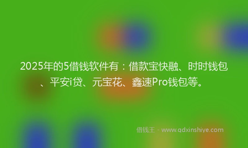 2025年的5借钱软件有：借款宝快融、时时钱包、平安i贷、元宝花、鑫速Pro钱包等。