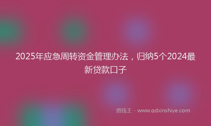 2025年应急周转资金管理办法，归纳5个2024最新贷款口子