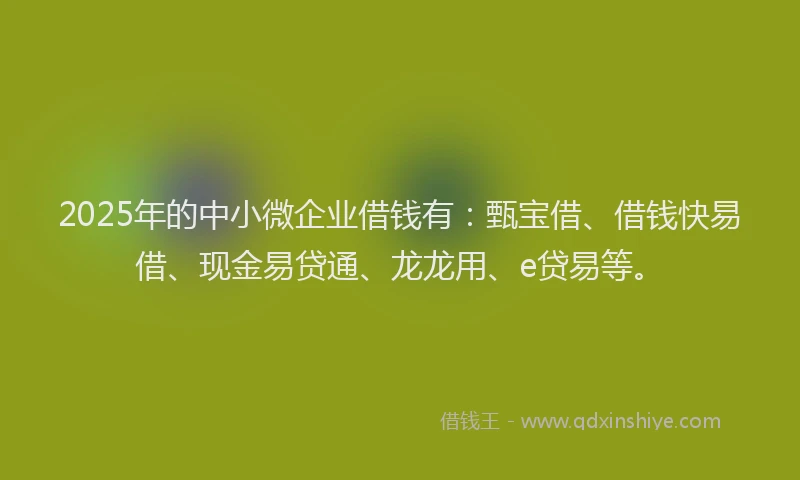 2025年的中小微企业借钱有：甄宝借、借钱快易借、现金易贷通、龙龙用、e贷易等。