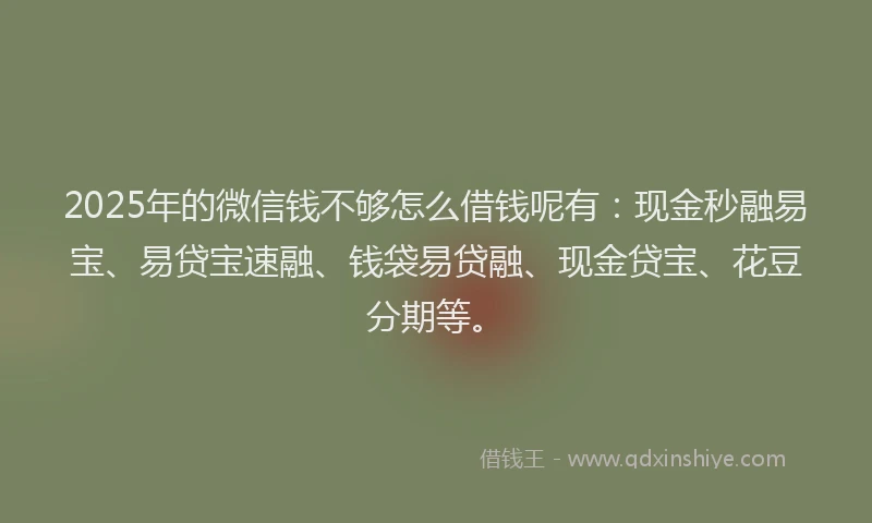 2025年的微信钱不够怎么借钱呢有：现金秒融易宝、易贷宝速融、钱袋易贷融、现金贷宝、花豆分期等。