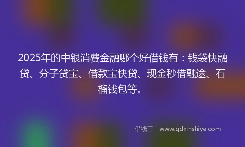 2025年的中银消费金融哪个好借钱有：钱袋快融贷、分子贷宝、借款宝快贷、现金秒借融途、石榴钱包等。