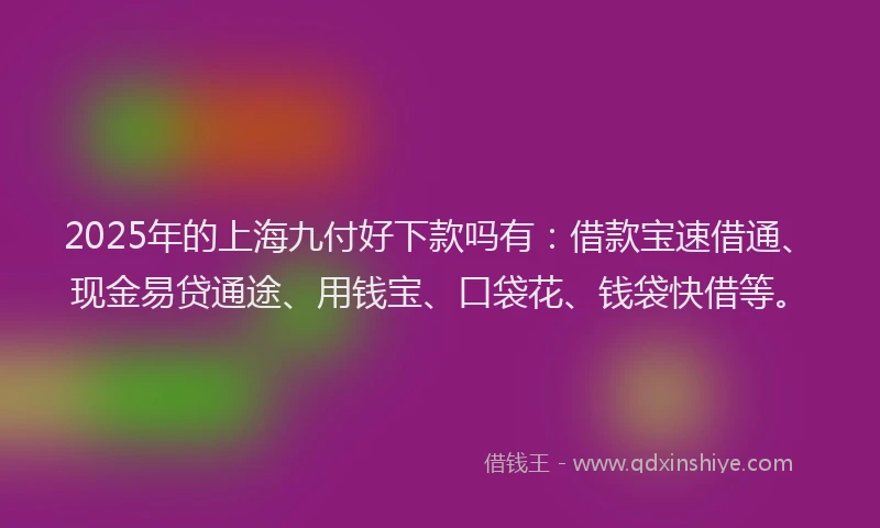 2025年的上海九付好下款吗有：借款宝速借通、现金易贷通途、用钱宝、口袋花、钱袋快借等。