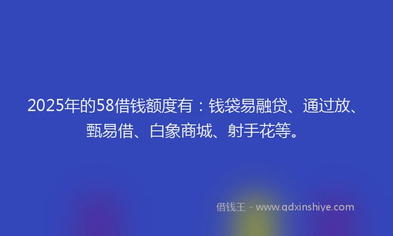 2025年的58借钱额度有：钱袋易融贷、通过放、甄易借、白象商城、射手花等。