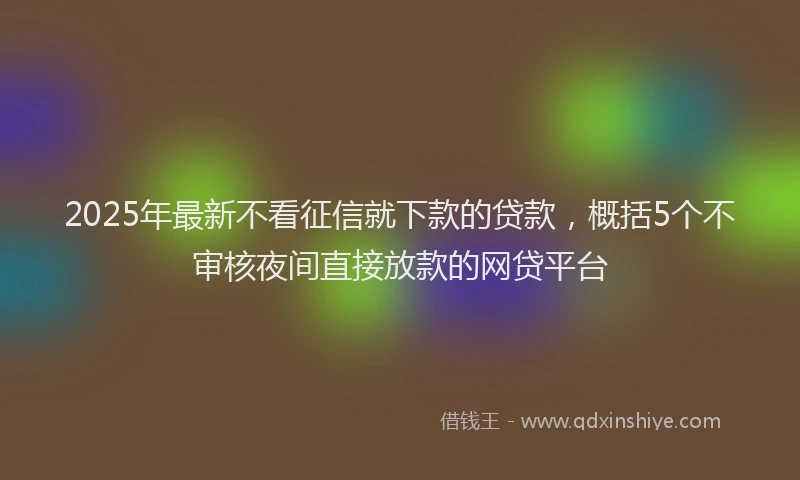 2025年最新不看征信就下款的贷款，概括5个不审核夜间直接放款的网贷平台