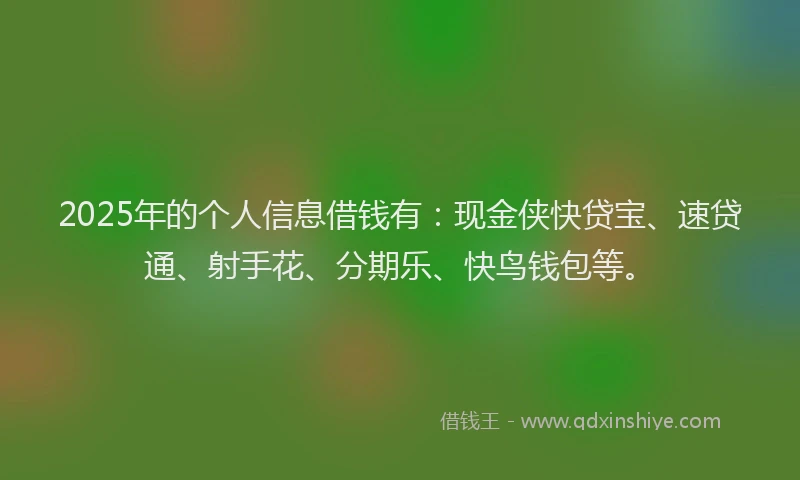 2025年的个人信息借钱有：现金侠快贷宝、速贷通、射手花、分期乐、快鸟钱包等。