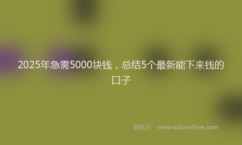2025年急需5000块钱，总结5个最新能下来钱的口子