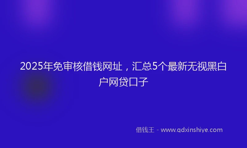 2025年免审核借钱网址，汇总5个最新无视黑白户网贷口子