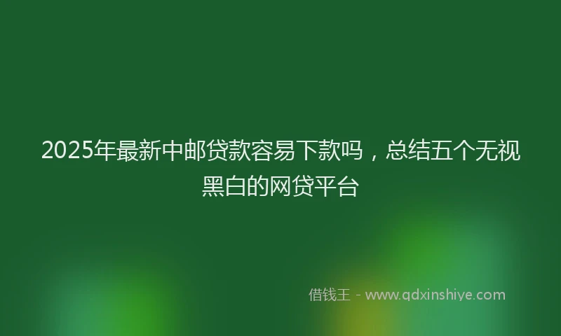 2025年最新中邮贷款容易下款吗，总结五个无视黑白的网贷平台