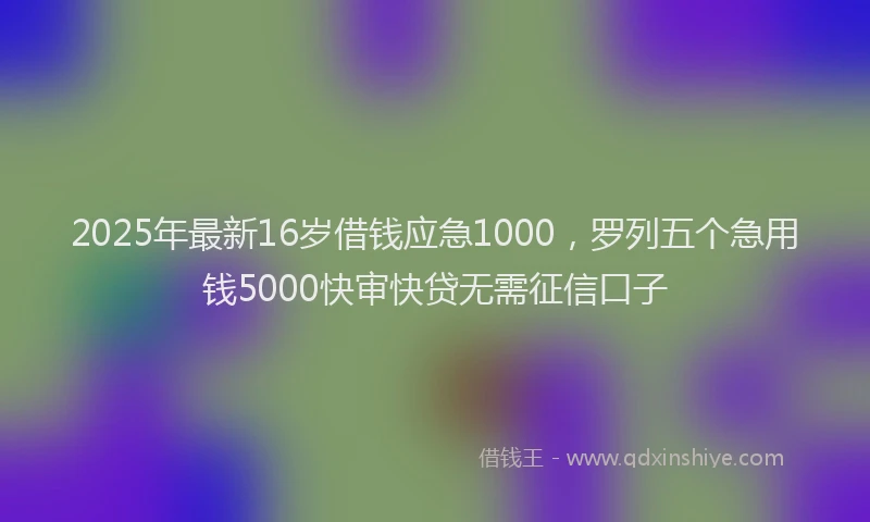 2025年最新16岁借钱应急1000，罗列五个急用钱5000快审快贷无需征信口子