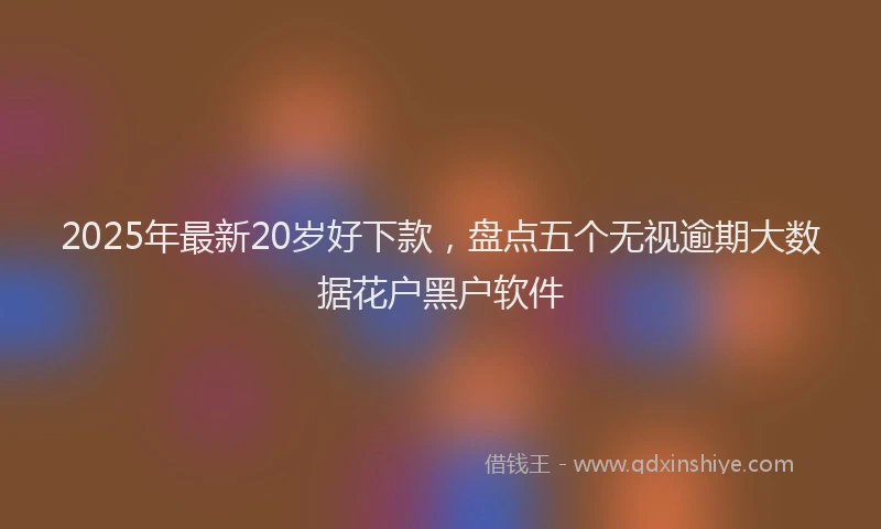 2025年最新20岁好下款，盘点五个无视逾期大数据花户黑户软件
