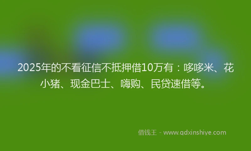2025年的不看征信不抵押借10万有：哆哆米、花小猪、现金巴士、嗨购、民贷速借等。
