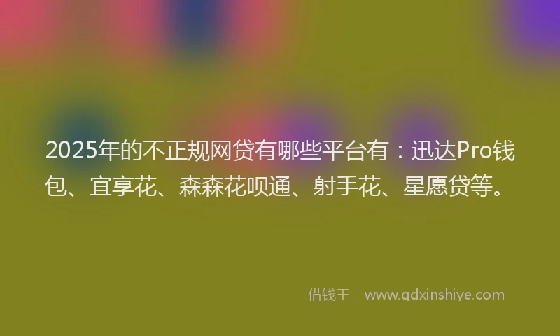 2025年的不正规网贷有哪些平台有：迅达Pro钱包、宜享花、森森花呗通、射手花、星愿贷等。