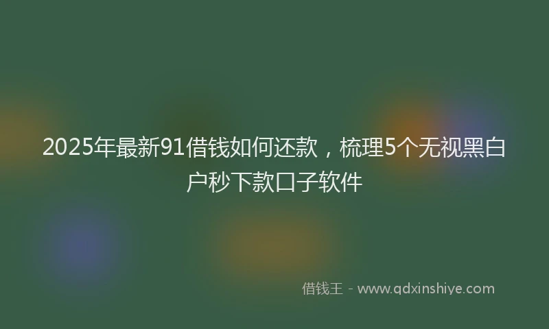 2025年最新91借钱如何还款，梳理5个无视黑白户秒下款口子软件
