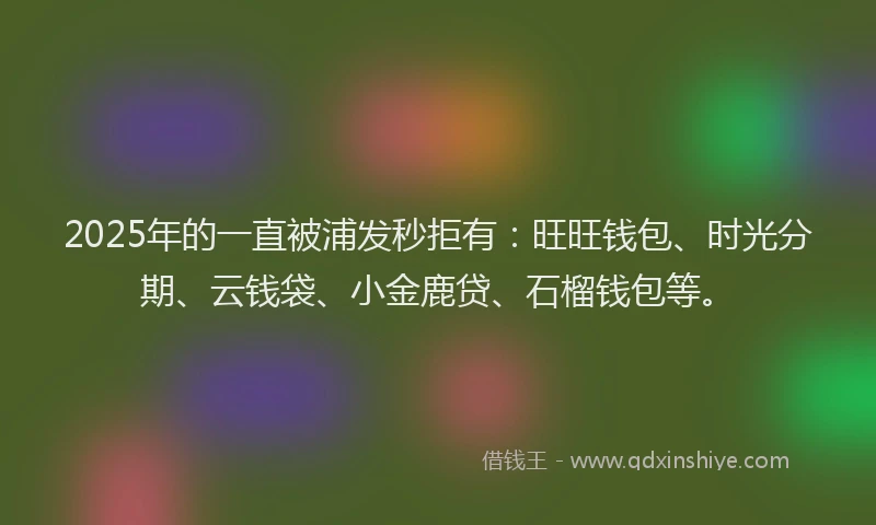 2025年的一直被浦发秒拒有：旺旺钱包、时光分期、云钱袋、小金鹿贷、石榴钱包等。