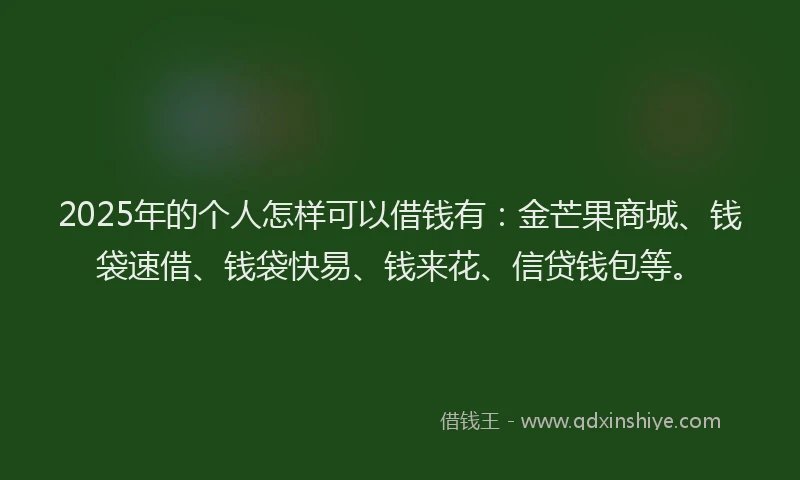 2025年的个人怎样可以借钱有：金芒果商城、钱袋速借、钱袋快易、钱来花、信贷钱包等。