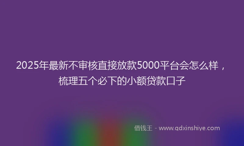 2025年最新不审核直接放款5000平台会怎么样，梳理五个必下的小额贷款口子