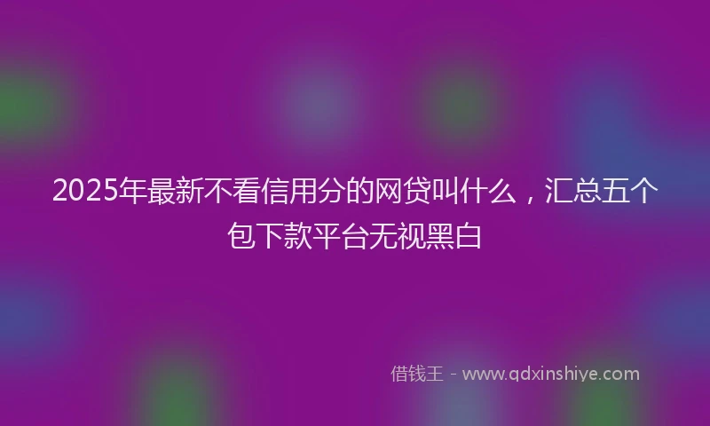 2025年最新不看信用分的网贷叫什么，汇总五个包下款平台无视黑白