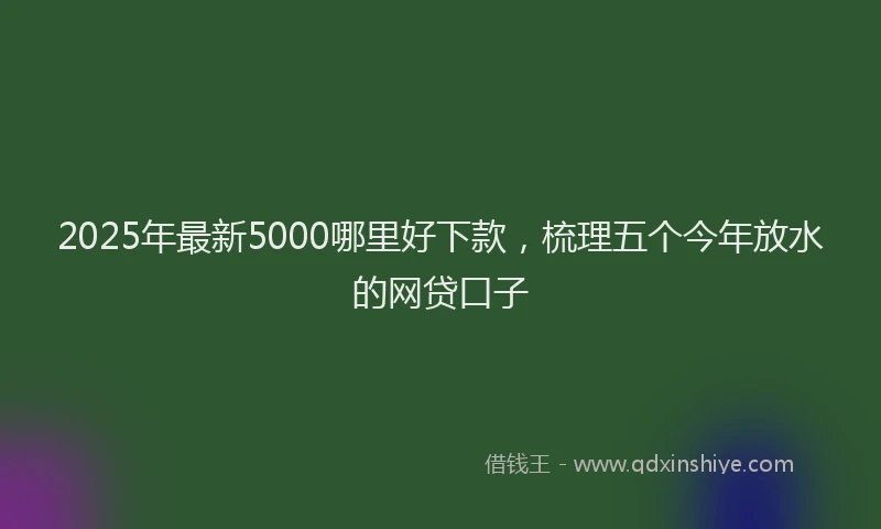 2025年最新5000哪里好下款，梳理五个今年放水的网贷口子
