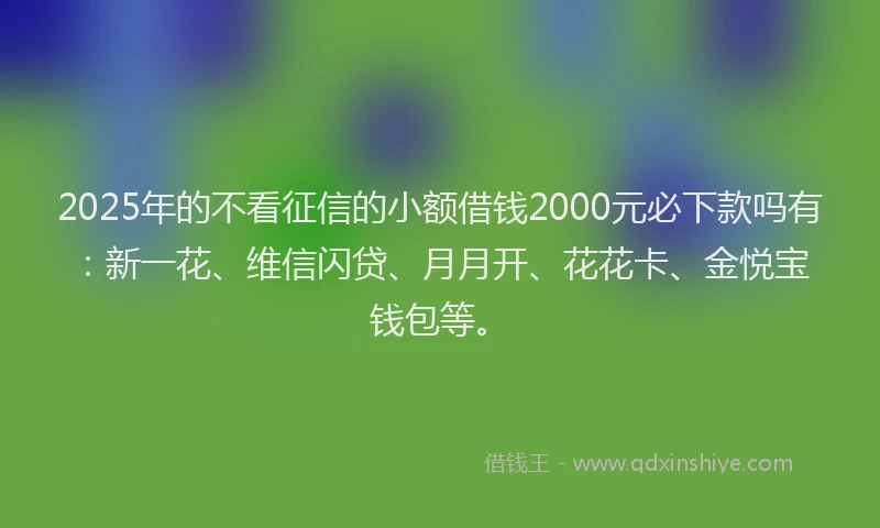 2025年的不看征信的小额借钱2000元必下款吗有：新一花、维信闪贷、月月开、花花卡、金悦宝钱包等。