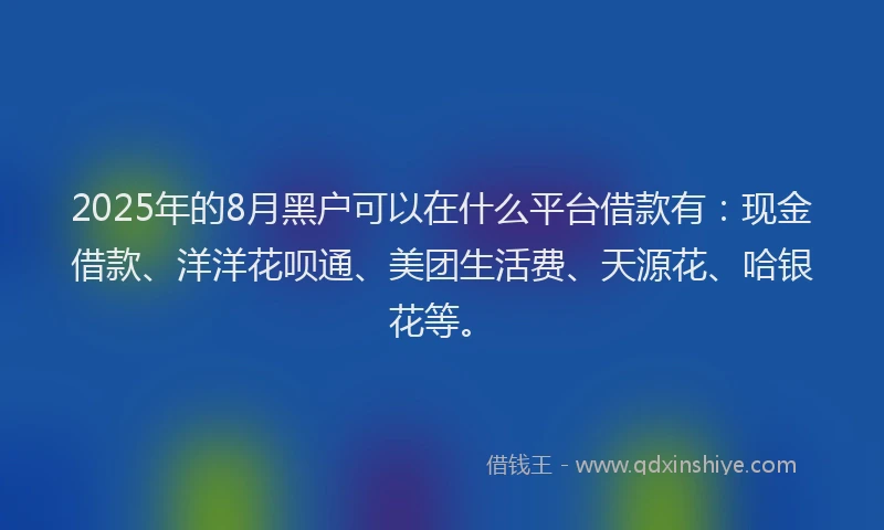 2025年的8月黑户可以在什么平台借款有：现金借款、洋洋花呗通、美团生活费、天源花、哈银花等。