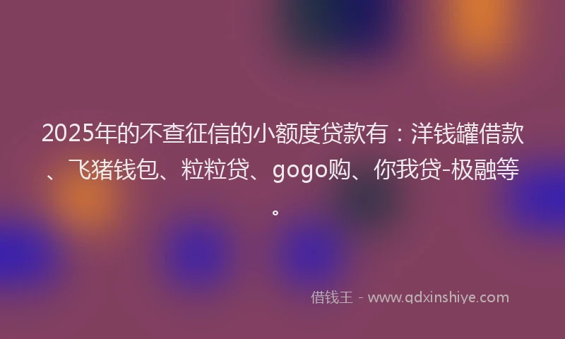 2025年的不查征信的小额度贷款有：洋钱罐借款、飞猪钱包、粒粒贷、gogo购、你我贷-极融等。