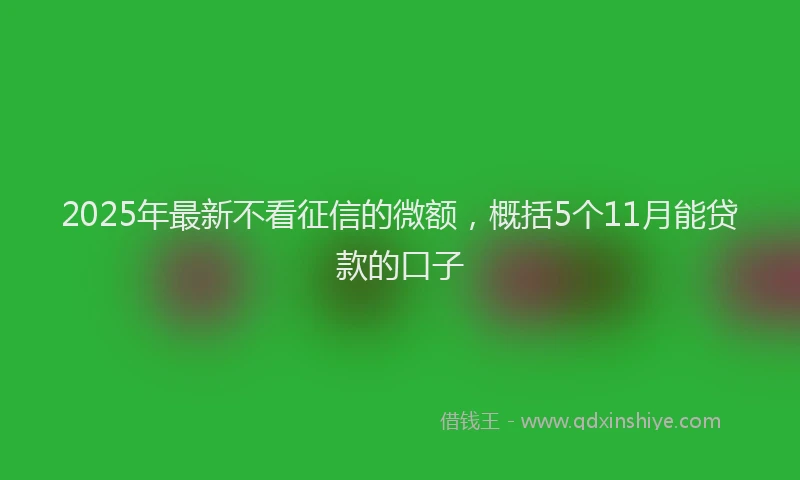 2025年最新不看征信的微额，概括5个11月能贷款的口子