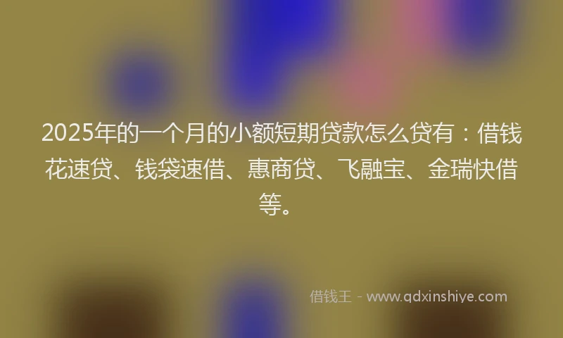 2025年的一个月的小额短期贷款怎么贷有：借钱花速贷、钱袋速借、惠商贷、飞融宝、金瑞快借等。