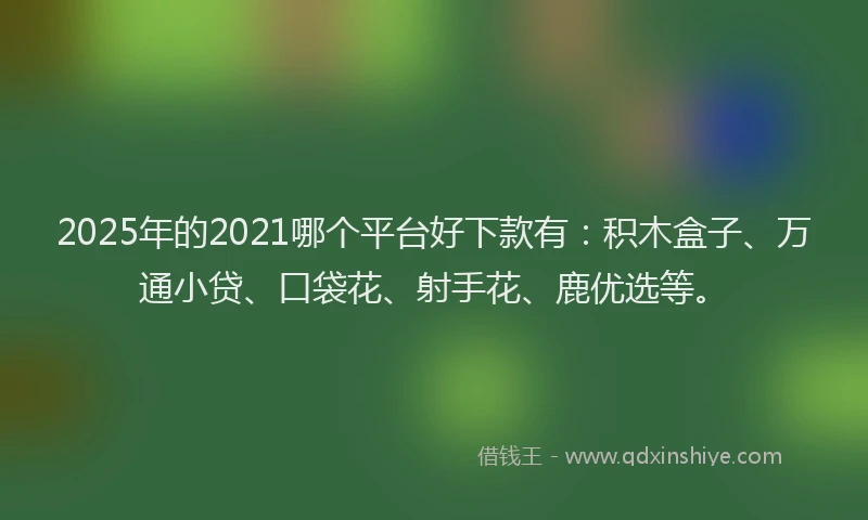 2025年的2021哪个平台好下款有：积木盒子、万通小贷、口袋花、射手花、鹿优选等。