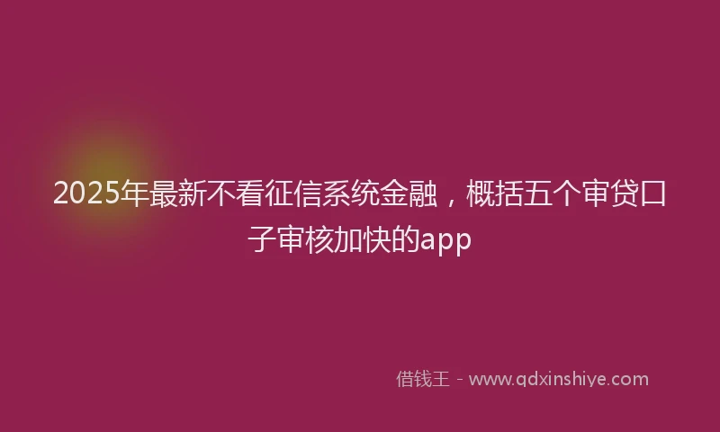 2025年最新不看征信系统金融，概括五个审贷口子审核加快的app