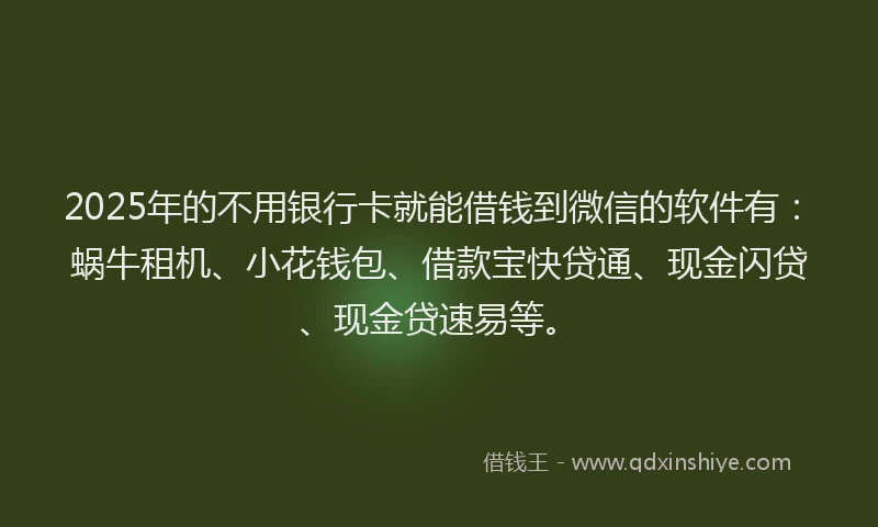 2025年的不用银行卡就能借钱到微信的软件有：蜗牛租机、小花钱包、借款宝快贷通、现金闪贷、现金贷速易等。