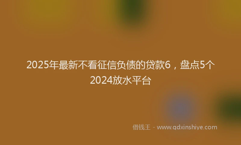 2025年最新不看征信负债的贷款6，盘点5个2024放水平台