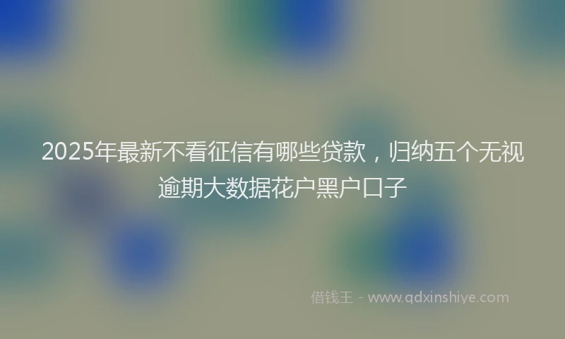 2025年最新不看征信有哪些贷款，归纳五个无视逾期大数据花户黑户口子
