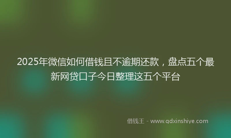 2025年微信如何借钱且不逾期还款，盘点五个最新网贷口子今日整理这五个平台